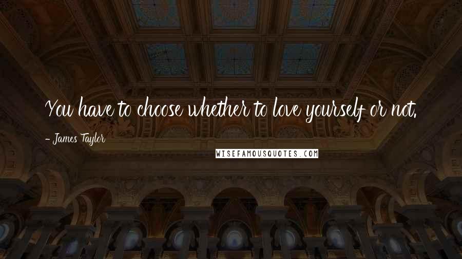 James Taylor Quotes: You have to choose whether to love yourself or not.