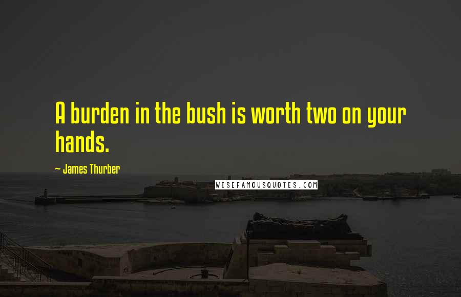 James Thurber Quotes: A burden in the bush is worth two on your hands.