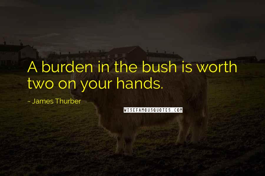 James Thurber Quotes: A burden in the bush is worth two on your hands.