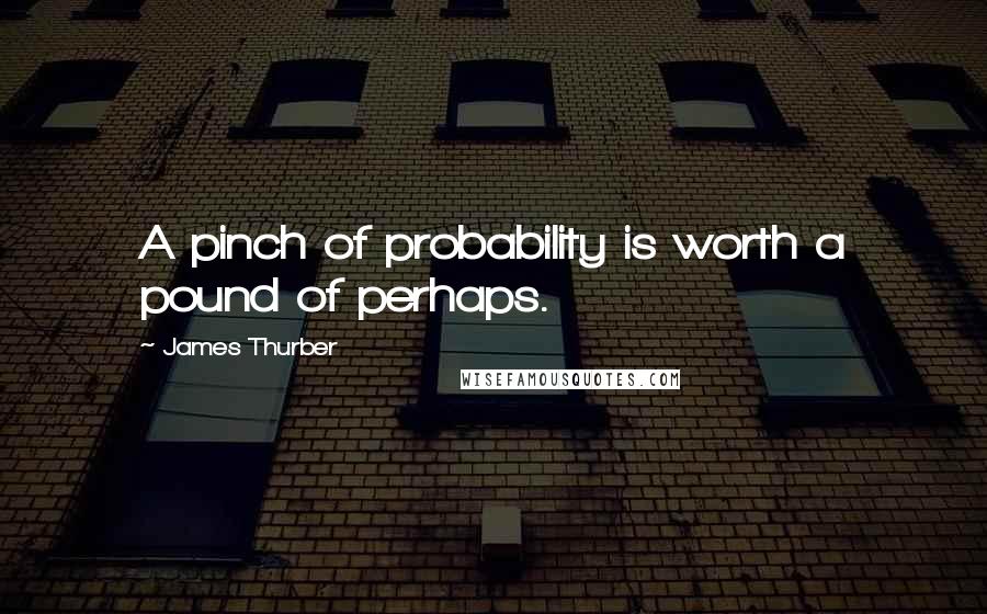 James Thurber Quotes: A pinch of probability is worth a pound of perhaps.