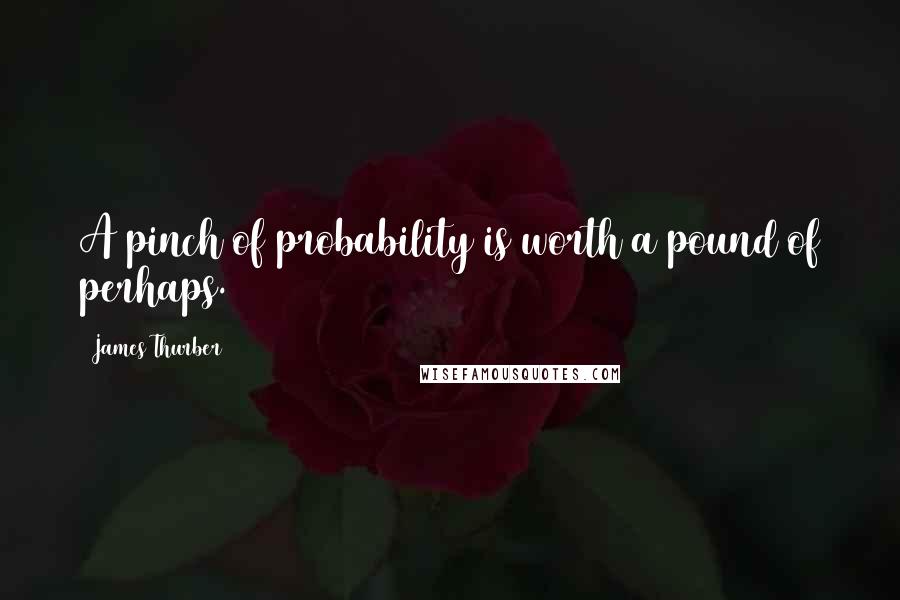 James Thurber Quotes: A pinch of probability is worth a pound of perhaps.