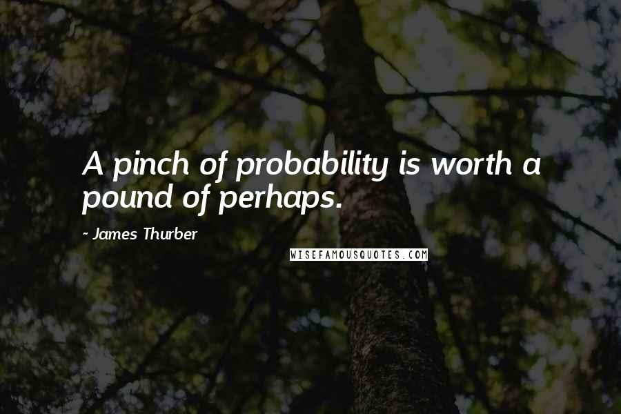 James Thurber Quotes: A pinch of probability is worth a pound of perhaps.