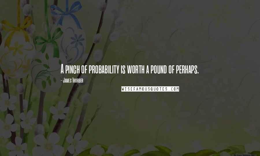 James Thurber Quotes: A pinch of probability is worth a pound of perhaps.