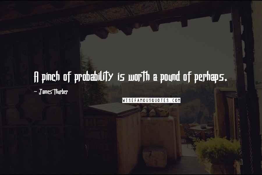 James Thurber Quotes: A pinch of probability is worth a pound of perhaps.