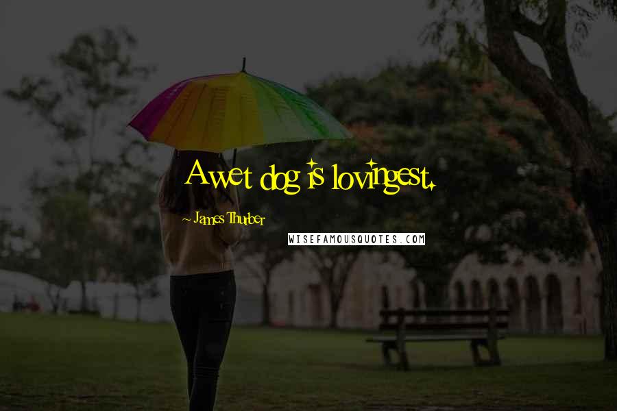 James Thurber Quotes: A wet dog is lovingest.