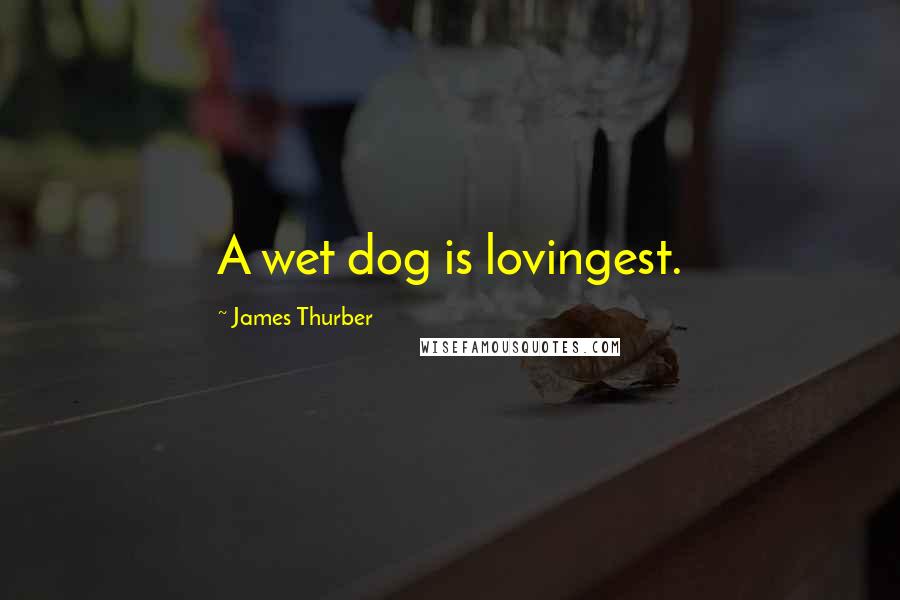 James Thurber Quotes: A wet dog is lovingest.
