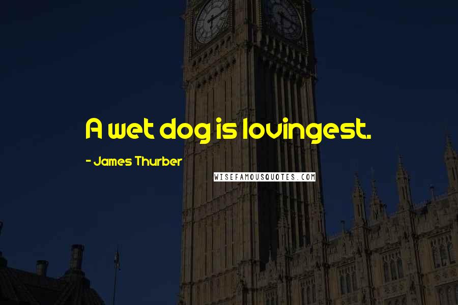 James Thurber Quotes: A wet dog is lovingest.