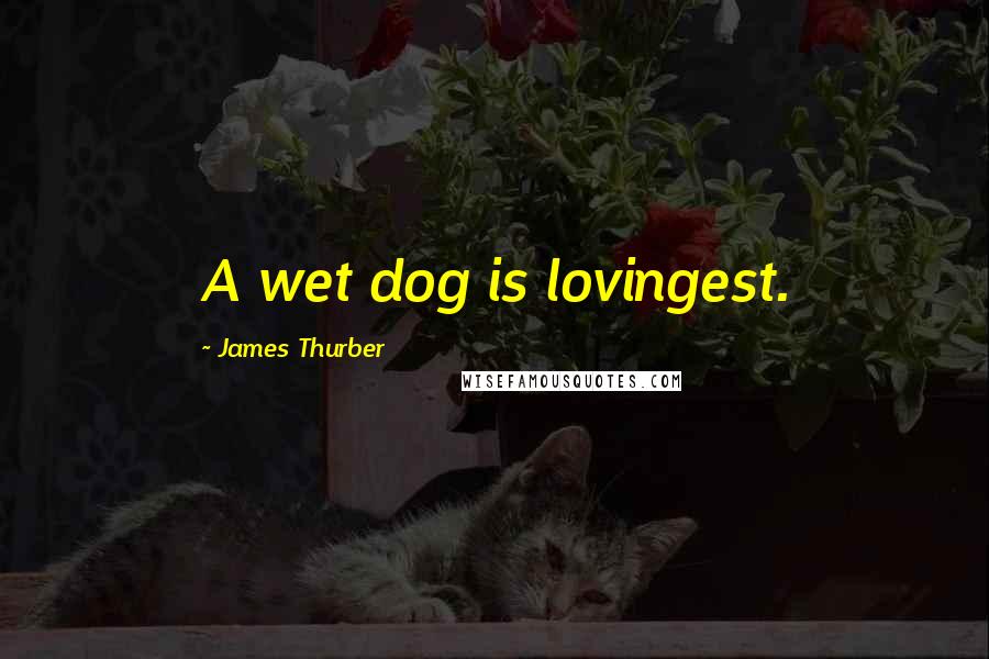 James Thurber Quotes: A wet dog is lovingest.