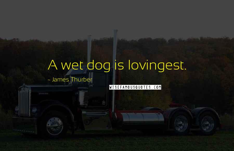 James Thurber Quotes: A wet dog is lovingest.