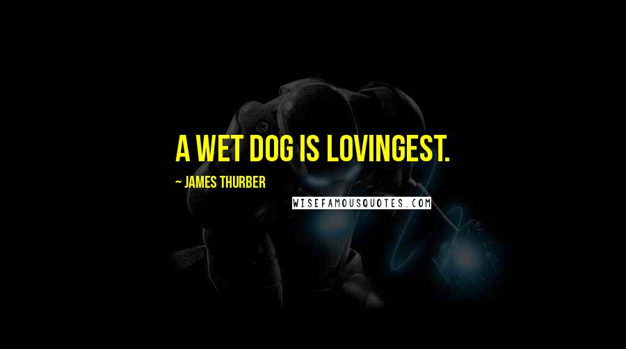 James Thurber Quotes: A wet dog is lovingest.