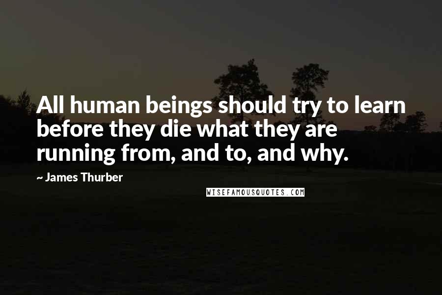 James Thurber Quotes: All human beings should try to learn before they die what they are running from, and to, and why.