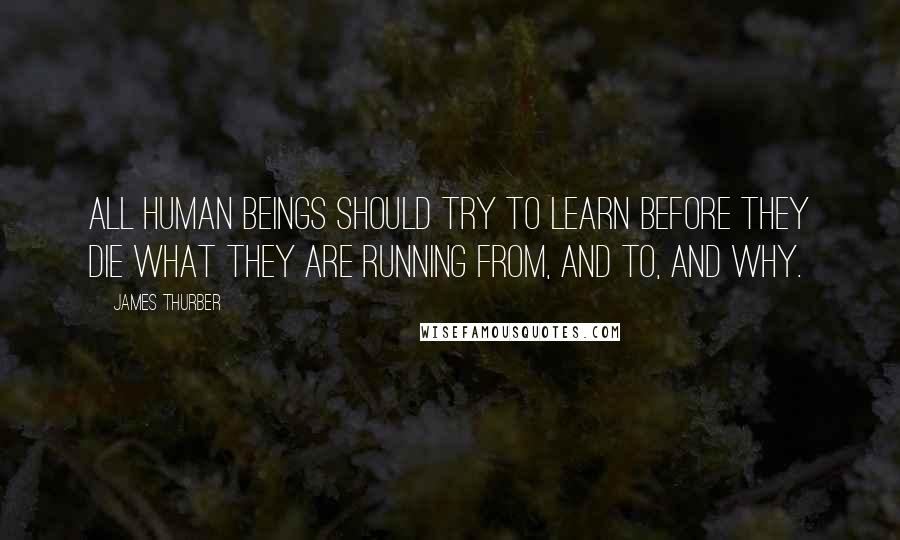 James Thurber Quotes: All human beings should try to learn before they die what they are running from, and to, and why.