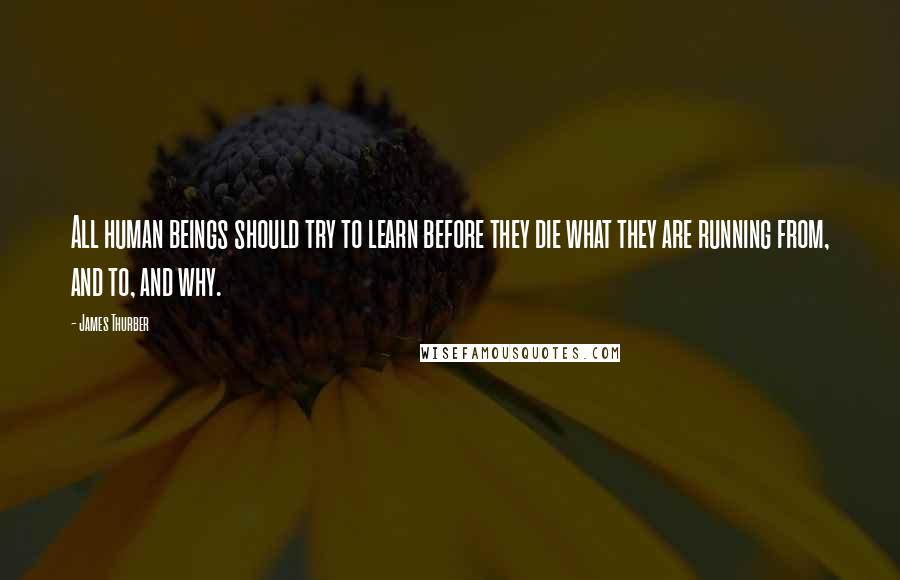 James Thurber Quotes: All human beings should try to learn before they die what they are running from, and to, and why.