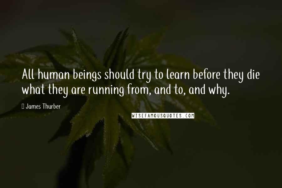 James Thurber Quotes: All human beings should try to learn before they die what they are running from, and to, and why.