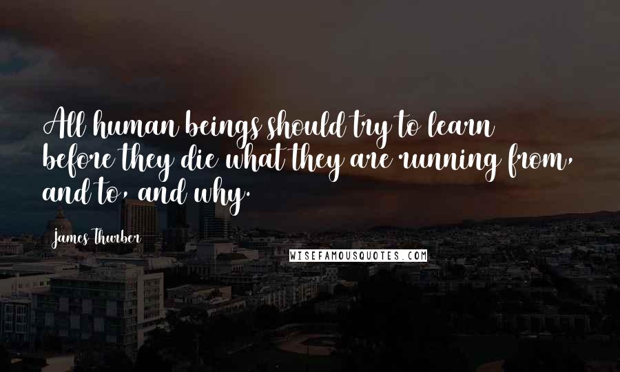 James Thurber Quotes: All human beings should try to learn before they die what they are running from, and to, and why.