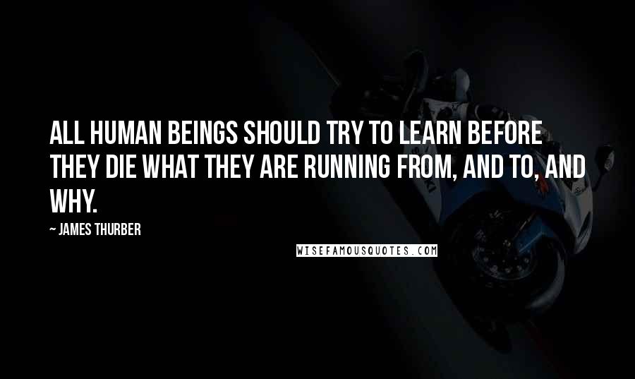 James Thurber Quotes: All human beings should try to learn before they die what they are running from, and to, and why.