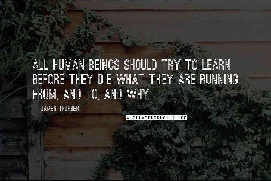 James Thurber Quotes: All human beings should try to learn before they die what they are running from, and to, and why.