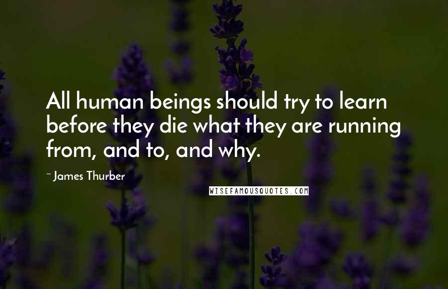 James Thurber Quotes: All human beings should try to learn before they die what they are running from, and to, and why.