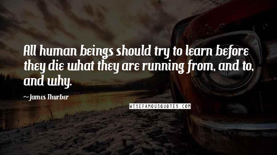 James Thurber Quotes: All human beings should try to learn before they die what they are running from, and to, and why.