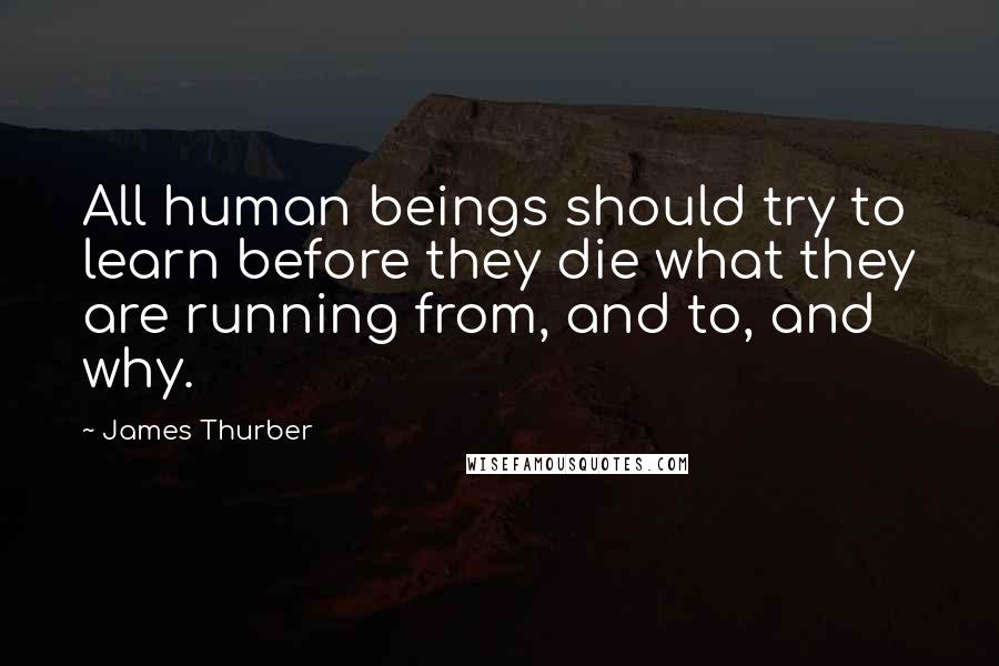 James Thurber Quotes: All human beings should try to learn before they die what they are running from, and to, and why.