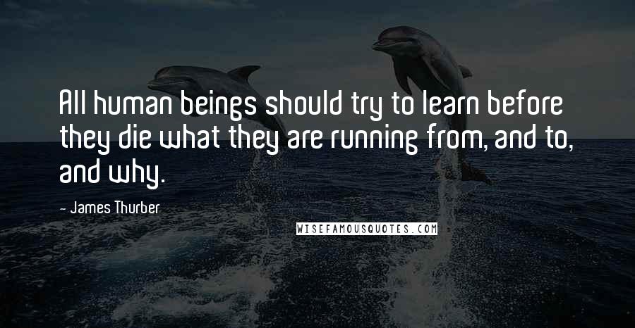 James Thurber Quotes: All human beings should try to learn before they die what they are running from, and to, and why.