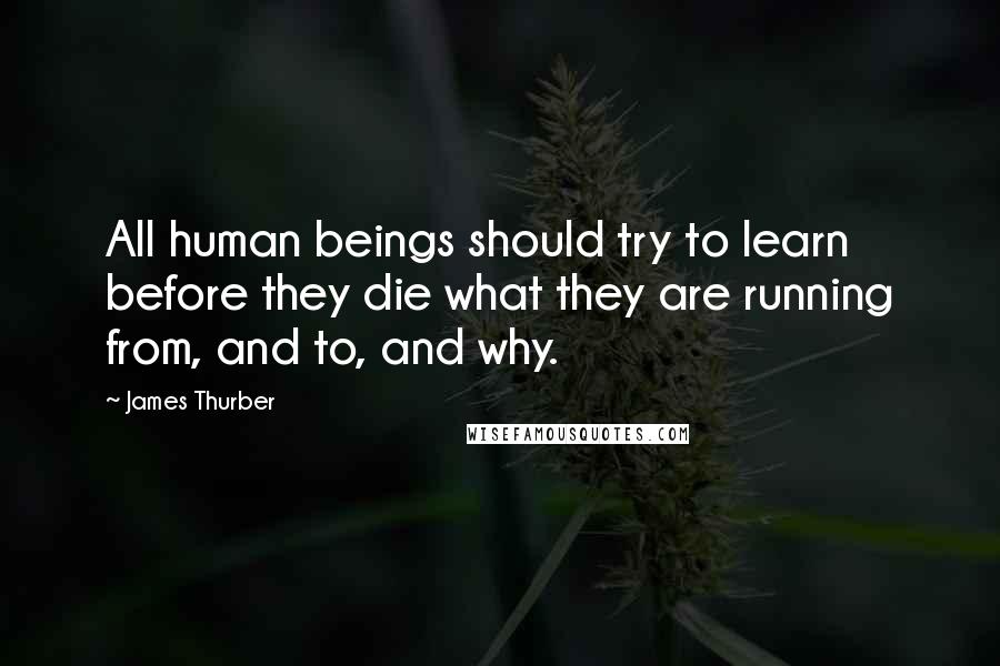 James Thurber Quotes: All human beings should try to learn before they die what they are running from, and to, and why.