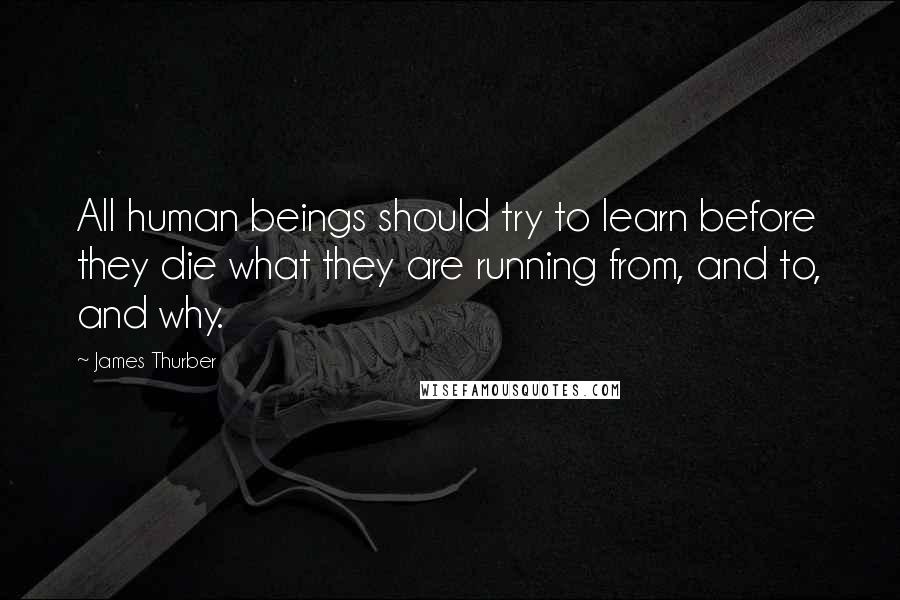 James Thurber Quotes: All human beings should try to learn before they die what they are running from, and to, and why.