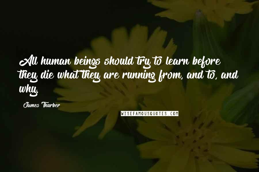 James Thurber Quotes: All human beings should try to learn before they die what they are running from, and to, and why.