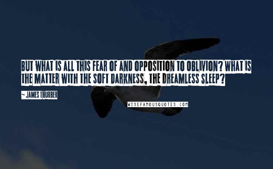 James Thurber Quotes: But what is all this fear of and opposition to Oblivion? What is the matter with the soft Darkness, the Dreamless Sleep?