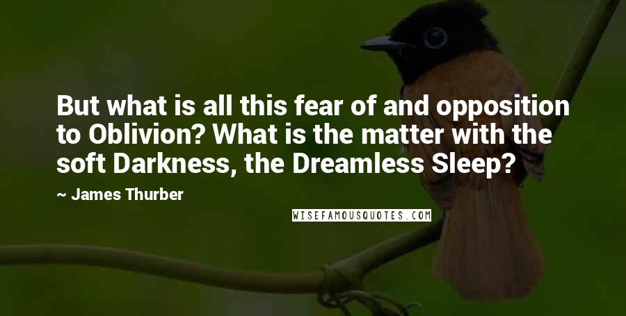 James Thurber Quotes: But what is all this fear of and opposition to Oblivion? What is the matter with the soft Darkness, the Dreamless Sleep?