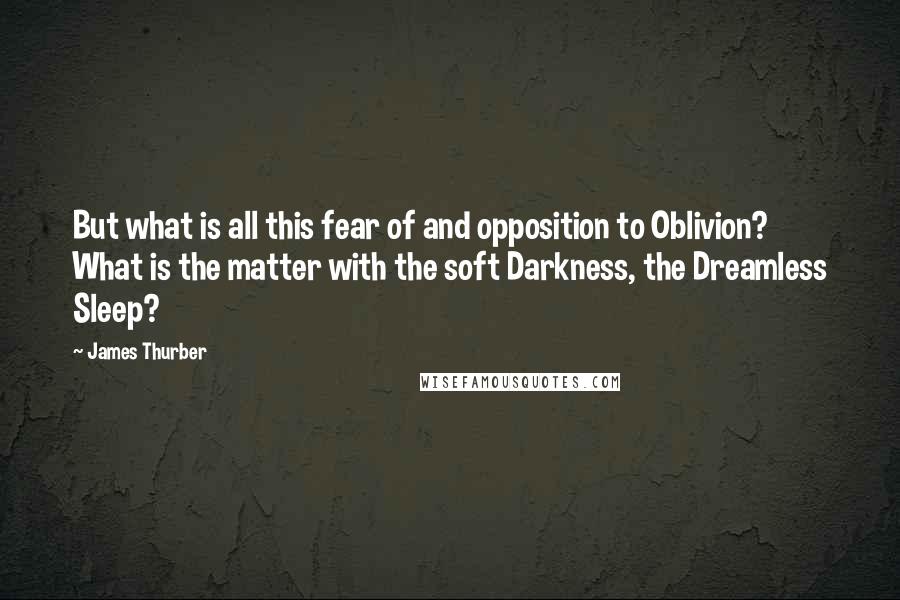 James Thurber Quotes: But what is all this fear of and opposition to Oblivion? What is the matter with the soft Darkness, the Dreamless Sleep?