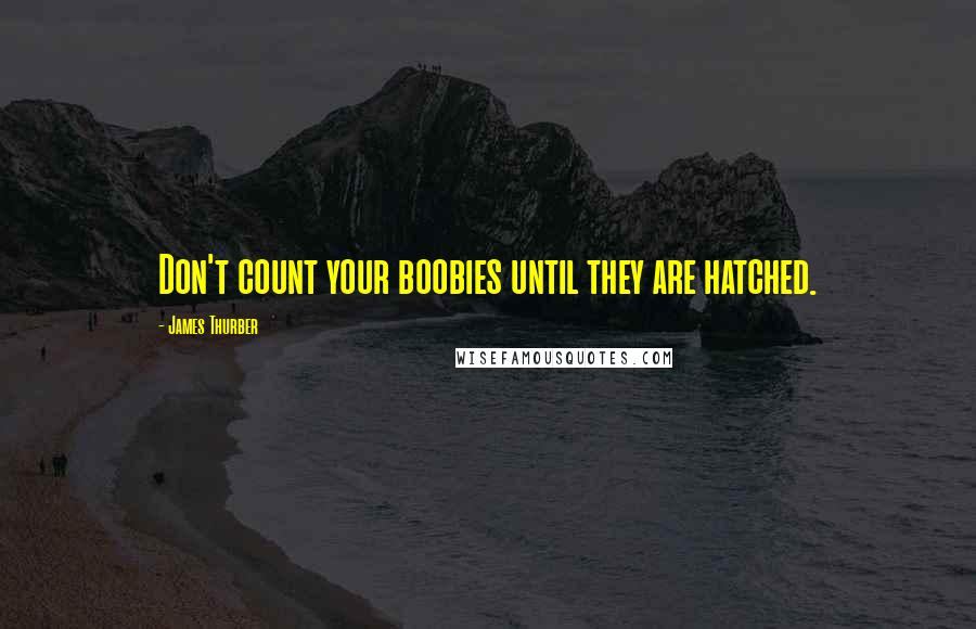 James Thurber Quotes: Don't count your boobies until they are hatched.