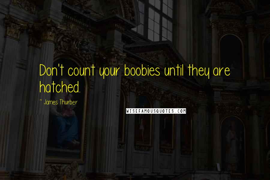 James Thurber Quotes: Don't count your boobies until they are hatched.