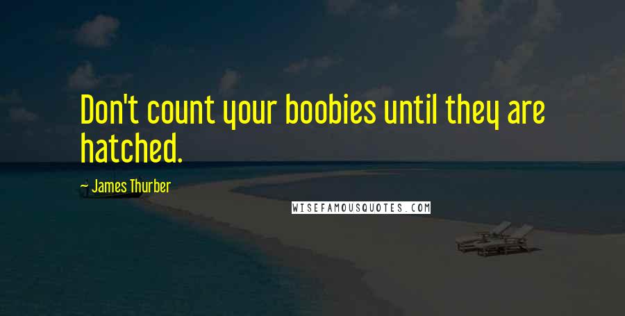 James Thurber Quotes: Don't count your boobies until they are hatched.