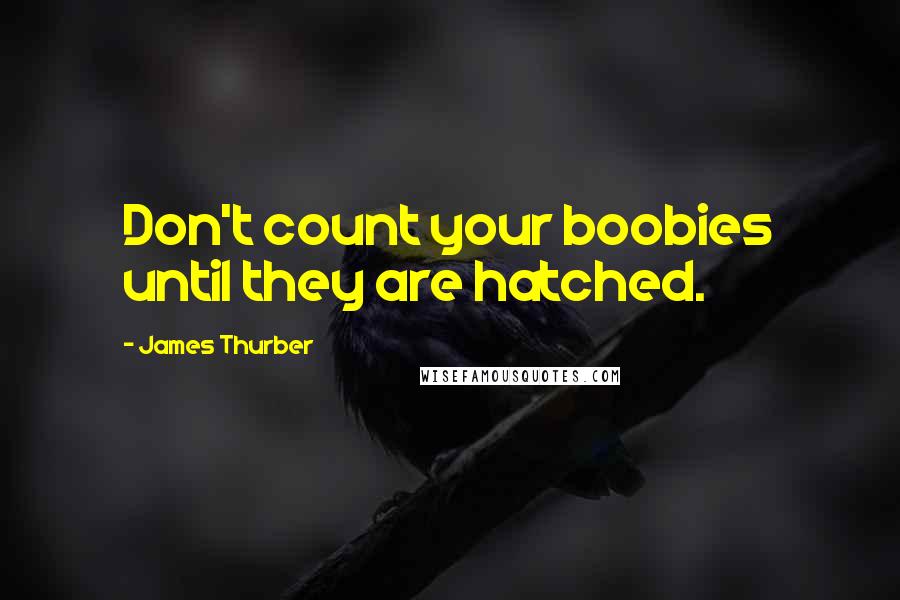 James Thurber Quotes: Don't count your boobies until they are hatched.