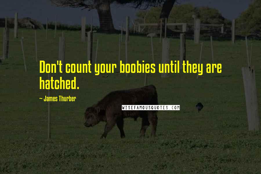 James Thurber Quotes: Don't count your boobies until they are hatched.