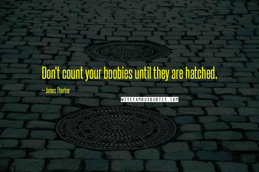 James Thurber Quotes: Don't count your boobies until they are hatched.