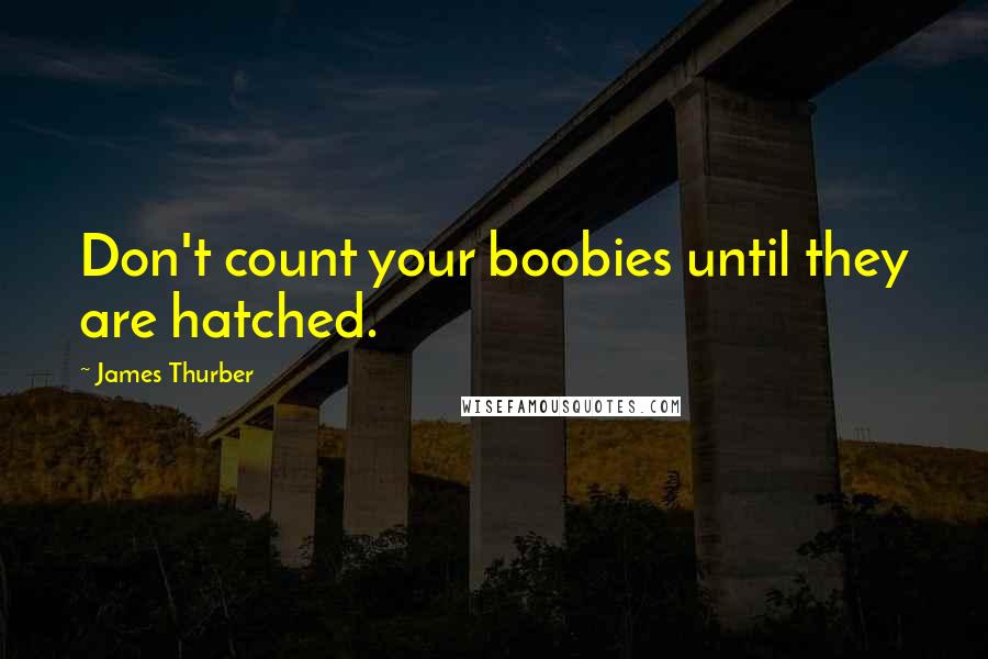 James Thurber Quotes: Don't count your boobies until they are hatched.