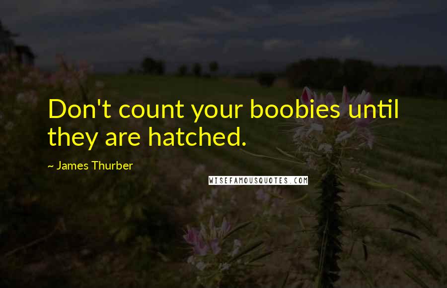 James Thurber Quotes: Don't count your boobies until they are hatched.