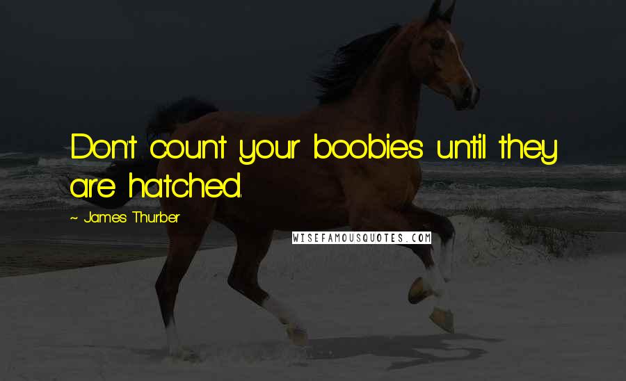 James Thurber Quotes: Don't count your boobies until they are hatched.