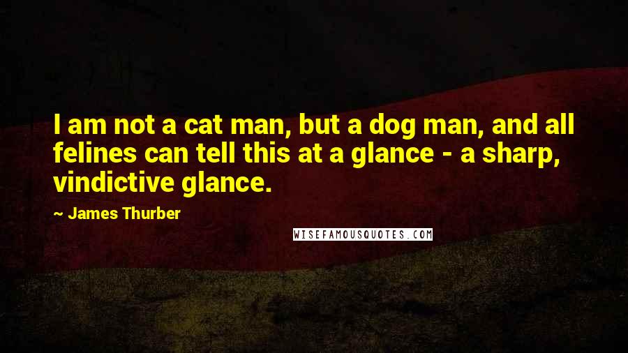 James Thurber Quotes: I am not a cat man, but a dog man, and all felines can tell this at a glance - a sharp, vindictive glance.