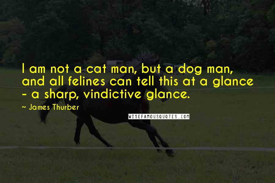 James Thurber Quotes: I am not a cat man, but a dog man, and all felines can tell this at a glance - a sharp, vindictive glance. 