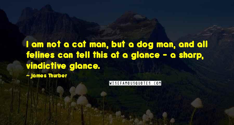 James Thurber Quotes: I am not a cat man, but a dog man, and all felines can tell this at a glance - a sharp, vindictive glance. 