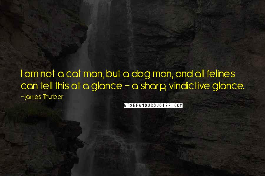 James Thurber Quotes: I am not a cat man, but a dog man, and all felines can tell this at a glance - a sharp, vindictive glance. 