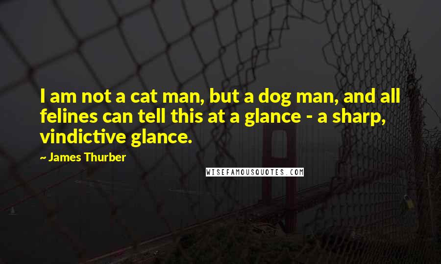 James Thurber Quotes: I am not a cat man, but a dog man, and all felines can tell this at a glance - a sharp, vindictive glance. 