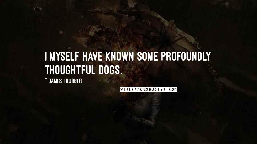 James Thurber Quotes: I myself have known some profoundly thoughtful dogs.