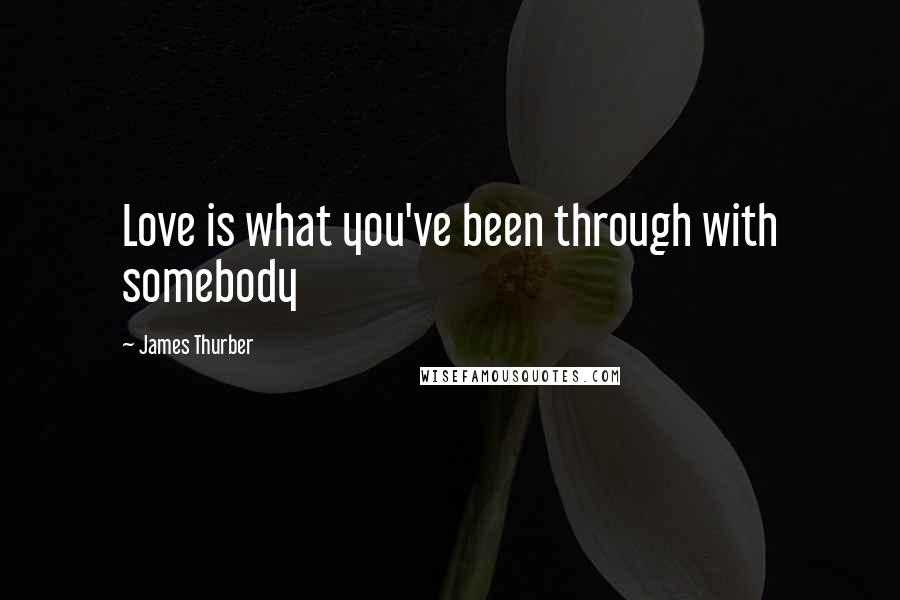 James Thurber Quotes: Love is what you've been through with somebody