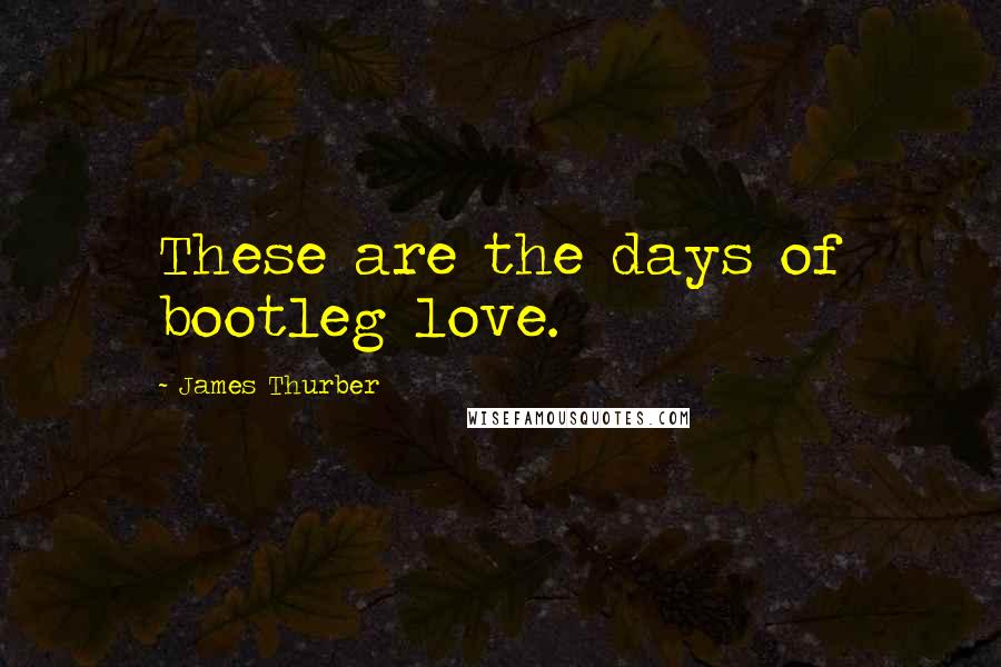 James Thurber Quotes: These are the days of bootleg love.