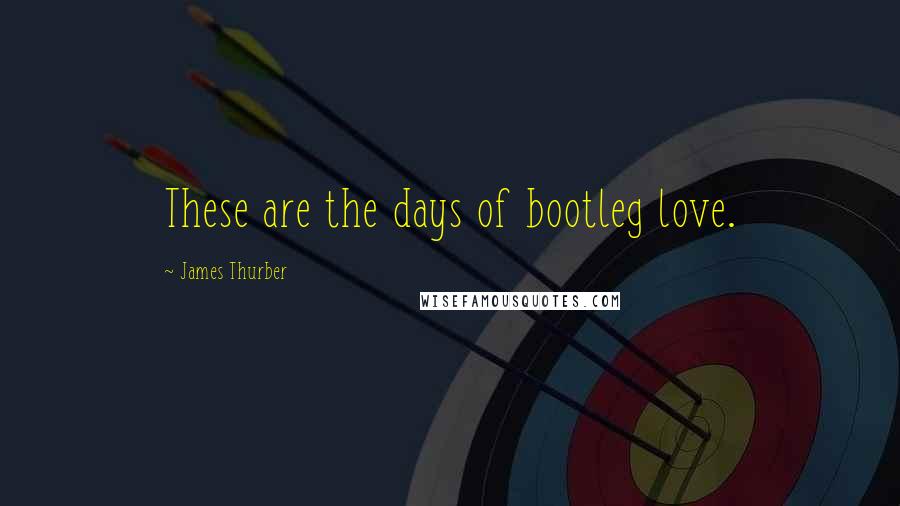 James Thurber Quotes: These are the days of bootleg love.