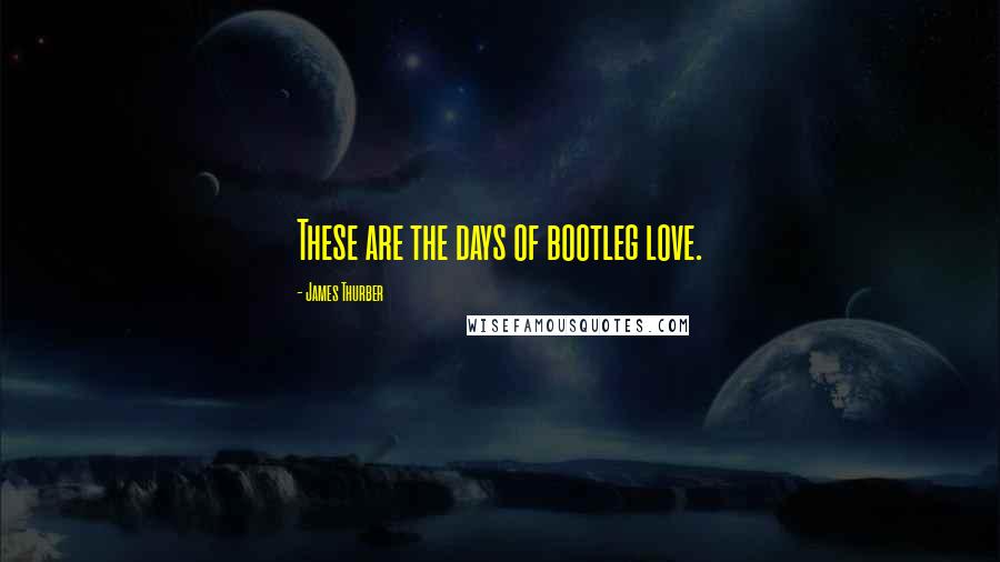 James Thurber Quotes: These are the days of bootleg love.